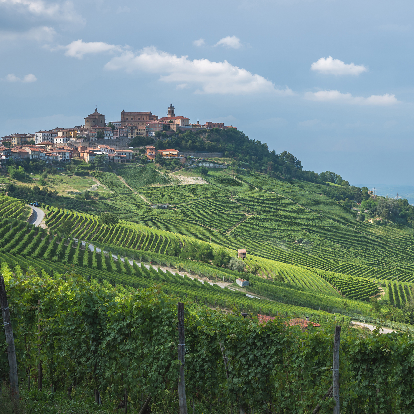 Barolo